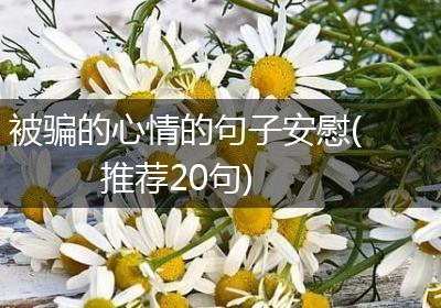 被骗的心情的句子安慰(推荐20句)
