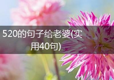 520的句子给老婆(实用40句)