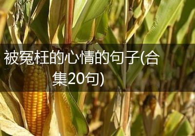 被冤枉的心情的句子(合集20句)