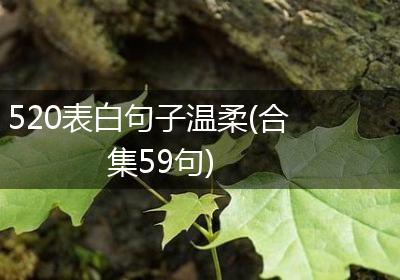 520表白句子温柔(合集59句)