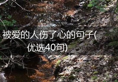 被爱的人伤了心的句子(优选40句)