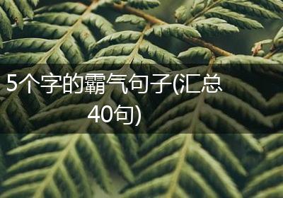 5个字的霸气句子(汇总40句)