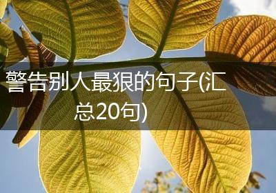 警告别人最狠的句子(汇总20句)