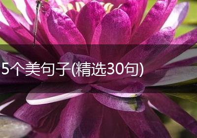 5个美句子(精选30句)