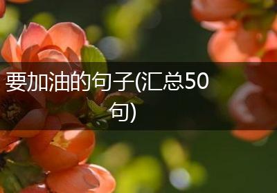 要加油的句子(汇总50句)