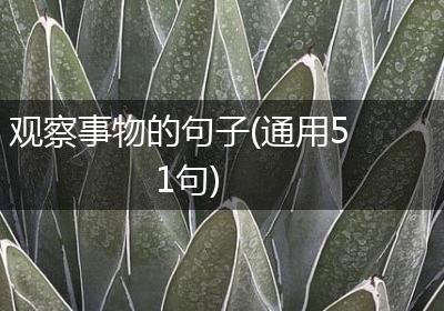 观察事物的句子(通用51句)