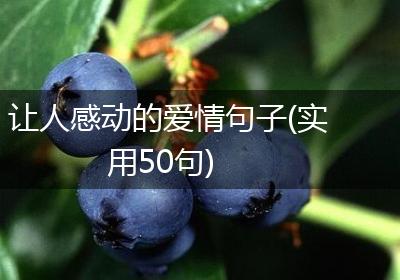 让人感动的爱情句子(实用50句)