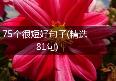 75个很短好句子(精选81句)