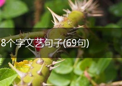 8个字文艺句子(69句)