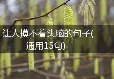 让人摸不着头脑的句子(通用15句)