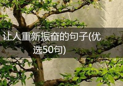 让人重新振奋的句子(优选50句)