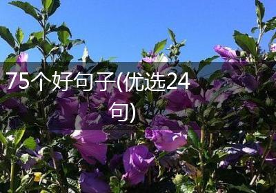 75个好句子(优选24句)