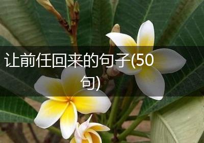 让前任回来的句子(50句)
