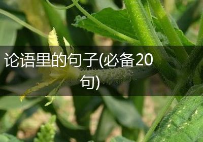 论语里的句子(必备20句)