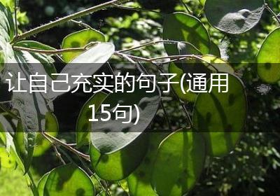 让自己充实的句子(通用15句)