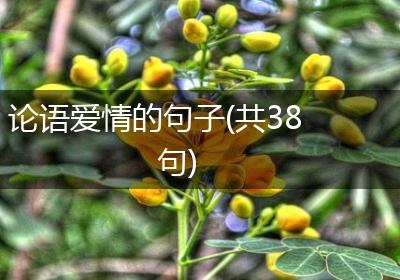 论语爱情的句子(共38句)