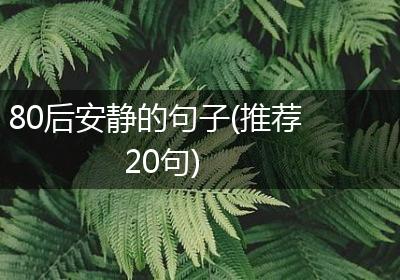 80后安静的句子(推荐20句)