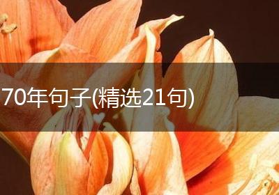 70年句子(精选21句)