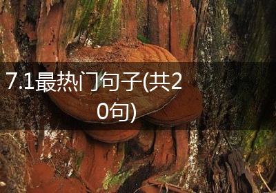 7.1最热门句子(共20句)