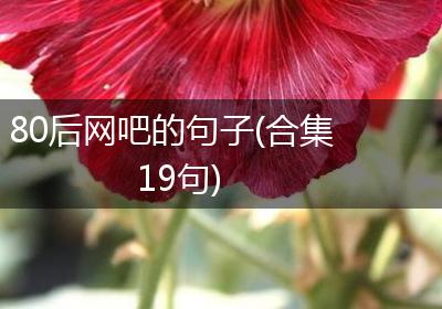 80后网吧的句子(合集19句)