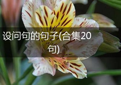 设问句的句子(合集20句)