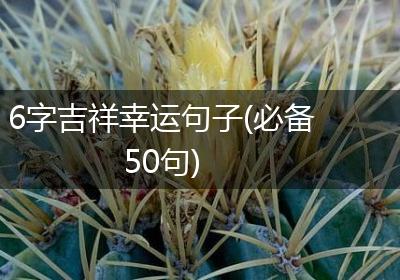 6字吉祥幸运句子(必备50句)