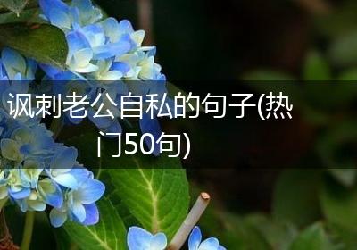 讽刺老公自私的句子(热门50句)