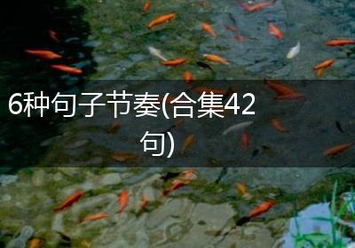 6种句子节奏(合集42句)