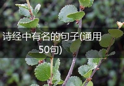 诗经中有名的句子(通用50句)