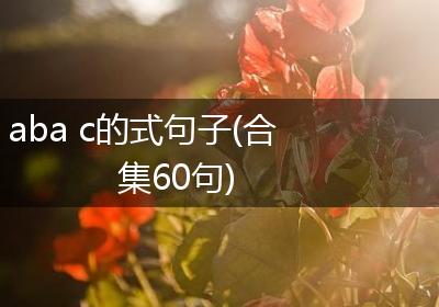aba c的式句子(合集60句)