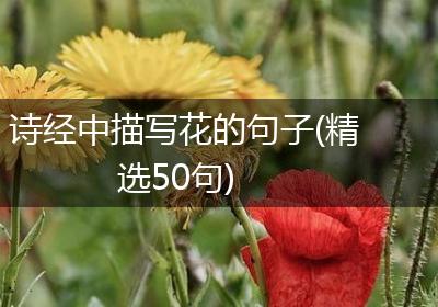 诗经中描写花的句子(精选50句)