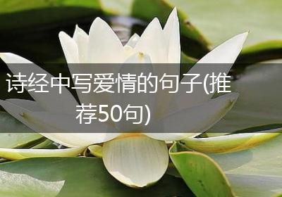 诗经中写爱情的句子(推荐50句)