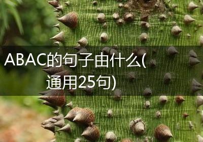 ABAC的句子由什么(通用25句)