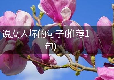 说女人坏的句子(推荐1句)