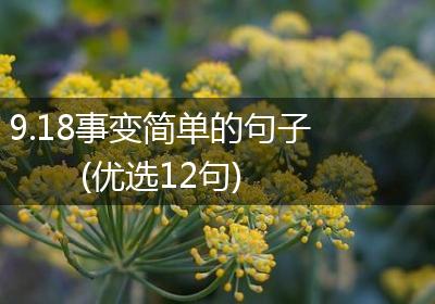 9.18事变简单的句子(优选12句)
