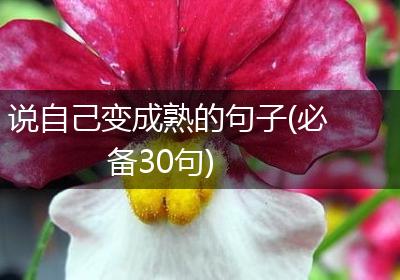 说自己变成熟的句子(必备30句)