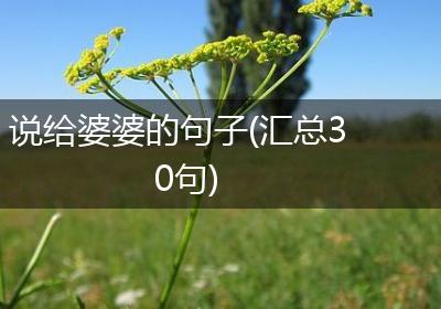 说给婆婆的句子(汇总30句)