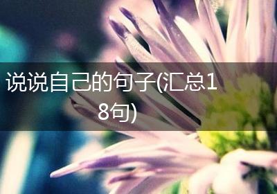 说说自己的句子(汇总18句)