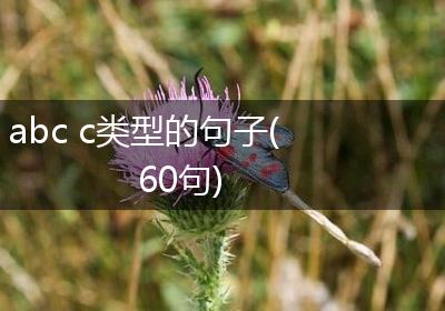 abc c类型的句子(60句)