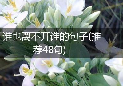 谁也离不开谁的句子(推荐48句)
