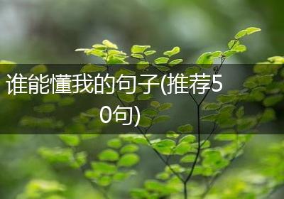 谁能懂我的句子(推荐50句)
