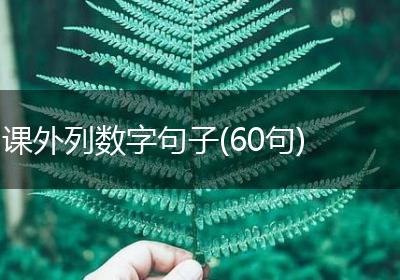 课外列数字句子(60句)