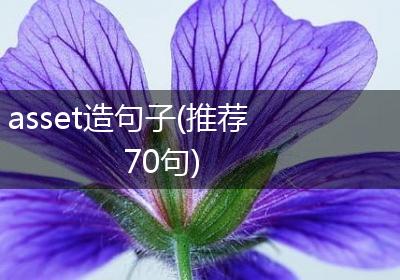 asset造句子(推荐70句)