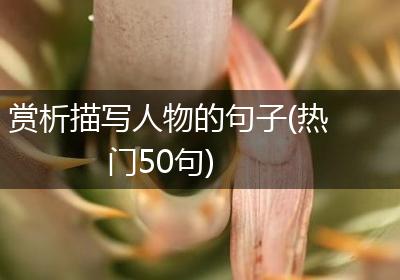 赏析描写人物的句子(热门50句)
