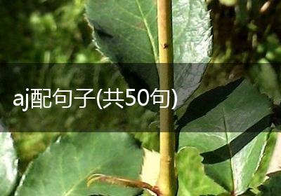 aj配句子(共50句)