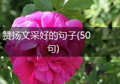 赞扬文采好的句子(50句)