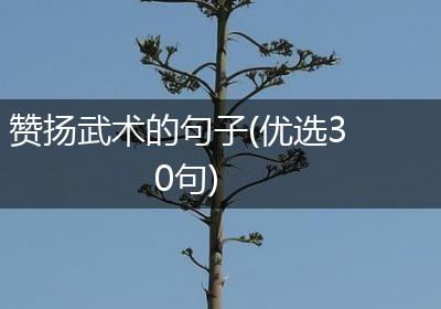 赞扬武术的句子(优选30句)