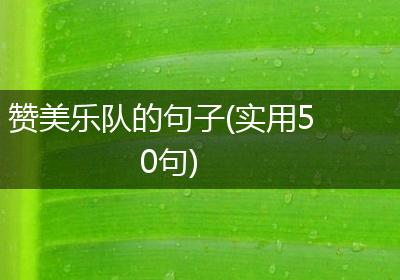 赞美乐队的句子(实用50句)