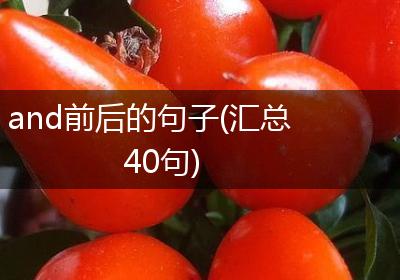 and前后的句子(汇总40句)