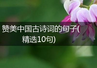 赞美中国古诗词的句子(精选10句)
